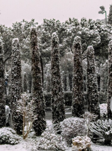 Photographie intitulée "** La Neige sur les…" par Patrice Le Gall, Œuvre d'art originale