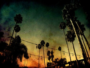 Photographie intitulée "palm Los Angeles" par Patrice Pelissier, Œuvre d'art originale, Photographie numérique