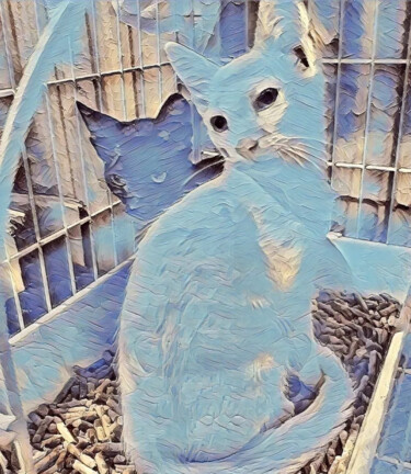 数字艺术 标题为“Cat Digital cuarto” 由Patricia Brown (Artedibujopbrown), 原创艺术品, AI生成的图像