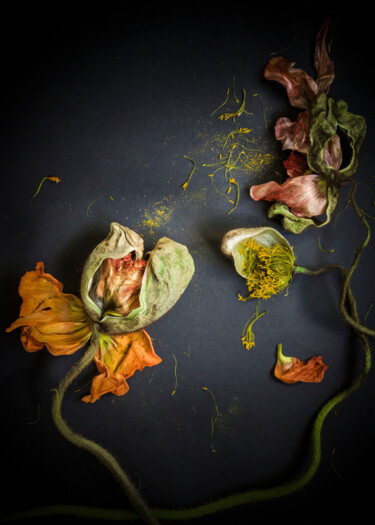 Fotografie getiteld "Florale 11" door Patricia Giudicelli Sister, Origineel Kunstwerk, Digitale fotografie