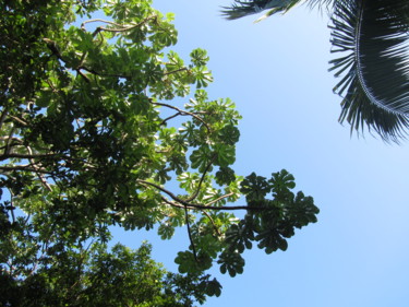 Photographie intitulée "arbre avec vue sur…" par Patricia Neveux, Œuvre d'art originale