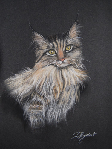 Zeichnungen mit dem Titel "le chat maine coon…" von Patricia Hyvernat, Original-Kunstwerk, Pastell