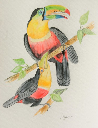 Pintura titulada "toucans  -  aquarel…" por Patricia Hyvernat, Obra de arte original, Acuarela
