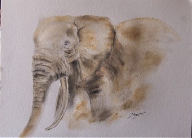 Dessin intitulée "elephant  - étude d…" par Patricia Hyvernat, Œuvre d'art originale, Craie