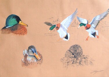 Peinture intitulée "canards colverts  -…" par Patricia Hyvernat, Œuvre d'art originale, Gouache