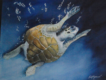 Painting titled "tortue marine - aqu…" by Patricia Hyvernat, Original Artwork, Watercolor