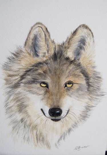 Peinture intitulée "loup gris -aquarell…" par Patricia Hyvernat, Œuvre d'art originale, Aquarelle