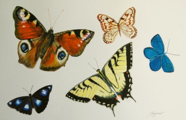 Schilderij getiteld "collection papillon…" door Patricia Hyvernat, Origineel Kunstwerk, Aquarel