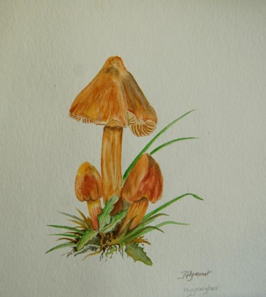 Schilderij getiteld "champignons hygrocy…" door Patricia Hyvernat, Origineel Kunstwerk, Aquarel