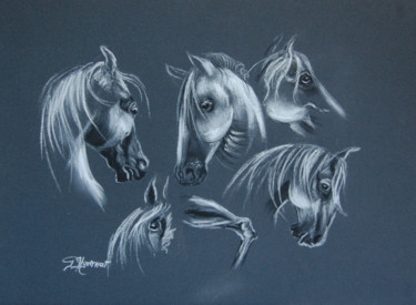 图画 标题为“étude chevaux  - de…” 由Patricia Hyvernat, 原创艺术品, 粉笔