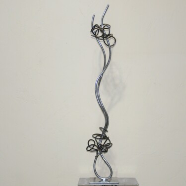 Sculptuur getiteld "Ondes stationnaire" door Patrick Blandin, Origineel Kunstwerk, Roestvrij Staal