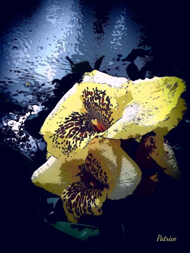 Fotografie getiteld "flower of Thailand" door Patrick John Bennett (Patrice), Origineel Kunstwerk, Digitale fotografie