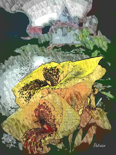 Fotografía titulada "Flowers in Spiritua…" por Patrick John Bennett (Patrice), Obra de arte original, Fotografía digital