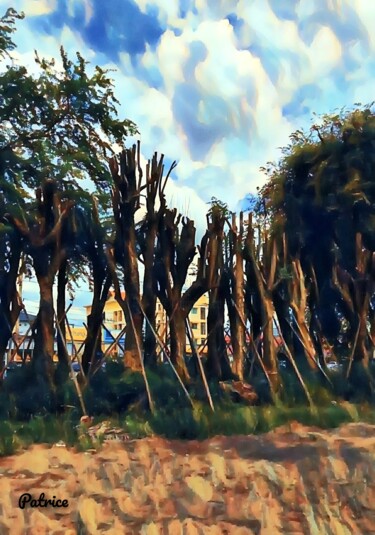 Цифровое искусство под названием "Tree Spirit" - Patrick John Bennett (Patrice), Подлинное произведение искусства, Цифровая…
