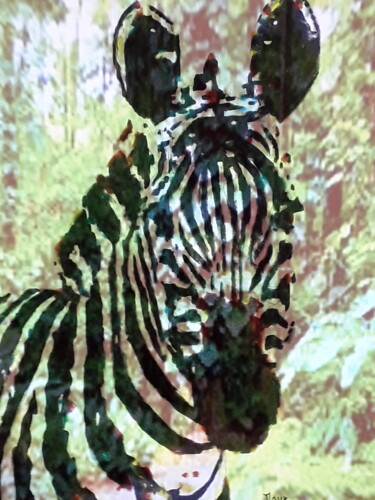 Artes digitais intitulada "Le zebre" por Patrick Mauxion (MAUX), Obras de arte originais, Trabalho Digital 2D Montado em Out…