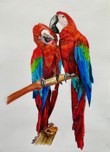 Картина под названием "Are rosse" - Patrizia Salcini, Подлинное произведение искусства, Цветные карандаши