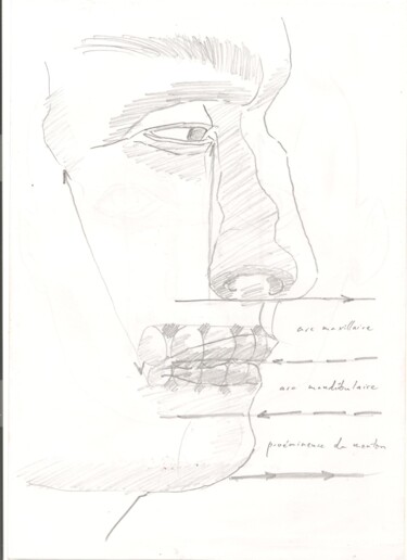 Dessin intitulée "Anatomie 48" par Paul-Éric Langevin, Œuvre d'art originale, Crayon