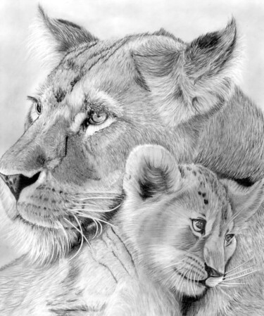 Dessin intitulée "Mother & Cub" par Paul Stowe, Œuvre d'art originale, Graphite