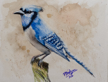 Painting titled "Blue Jay Bird in Wa…" by Paula Bridges, Original Artwork, Watercolor Mounted on Other rigid panel