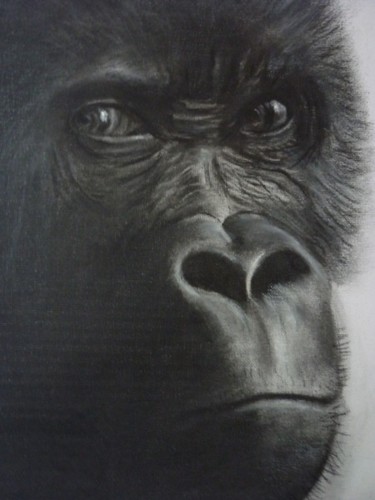Drawing titled "The Stare" by Paul Horton, Original Artwork, Other