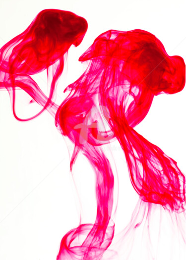 제목이 "Poissons rouges"인 사진 Pierre Boillon로, 원작, 디지털 플렉시글라스에 장착됨