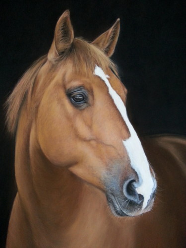 Schilderij getiteld "Portrait de cheval" door Cathy Cheneau, Origineel Kunstwerk, Pastel