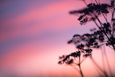 Photography titled "Ciel embrasé" by Nao Fujiwara, Original Artwork, Non Manipulated Photography