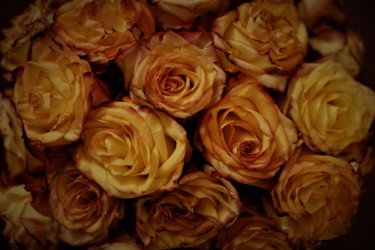 Photography titled "Rosa Rose" by Philippe Esfandiary, Original Artwork