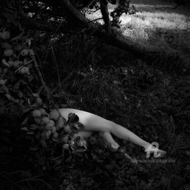 Fotografia zatytułowany „Francesca's ghost 0…” autorstwa Philippe Alliet, Oryginalna praca, Fotografia cyfrowa