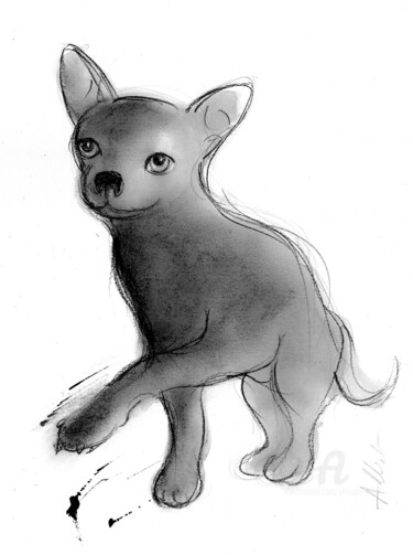 图画 标题为“Chihuahua-D-P-A 0008” 由Philippe Alliet, 原创艺术品, 墨