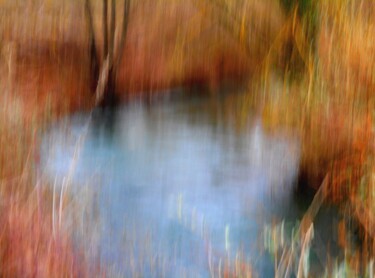 Photographie intitulée "Un coin d'eau...." par Philippe Berthier, Œuvre d'art originale, Photographie numérique