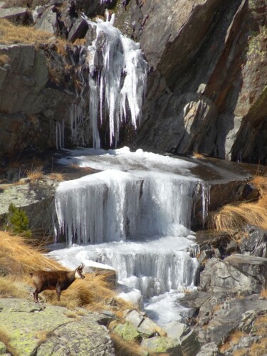 Photography titled "Chamois et cascade…" by Philippe Garnesson, Original Artwork, Non Manipulated Photography