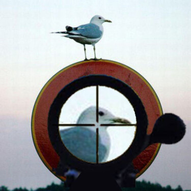 Arts numériques intitulée "LA MOUETTE LE FUSIL…" par Philippe Renou, Œuvre d'art originale, Collage numérique