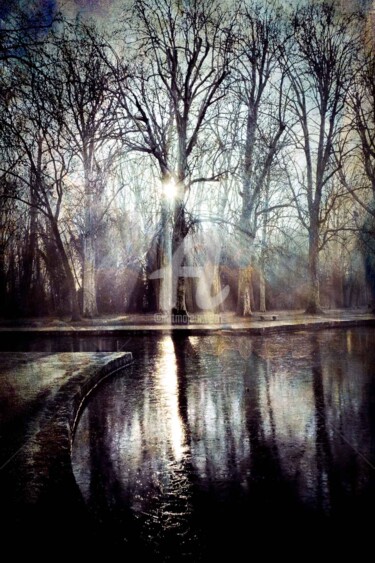 Photography titled "Arbres du Parc de S…" by Philippe Bousseau, Original Artwork, Digital Photography