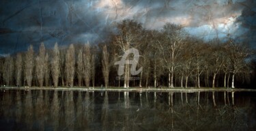 Fotografia intitolato "Plan d'eau du Parc…" da Philippe Bousseau, Opera d'arte originale, Fotografia digitale