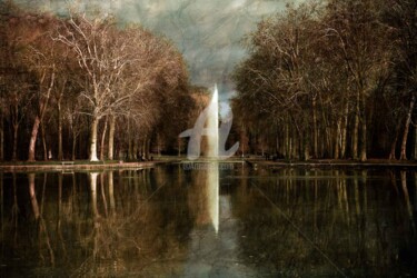 Фотография под названием "Plan d'eau du Parc…" - Philippe Bousseau, Подлинное произведение искусства, Цифровая фотография