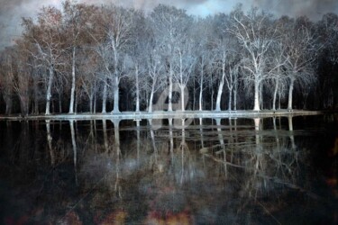 Fotografia intitolato "Plan d'eau du Parc…" da Philippe Bousseau, Opera d'arte originale, Fotografia digitale