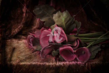 Fotografía titulada "fleur" por Philippe Bousseau, Obra de arte original, Fotografía digital