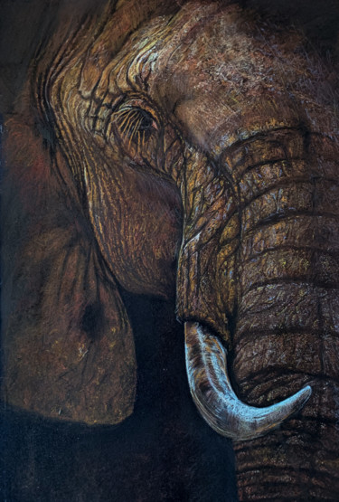 Rysunek zatytułowany „Éléphant triste” autorstwa Philippe Petit, Oryginalna praca, Pastel Zamontowany na Inny sztywny panel