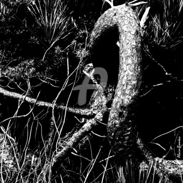 Fotografie mit dem Titel "Knots (noeuds)" von Alain Romeas (PhotoAR), Original-Kunstwerk, Digitale Fotografie
