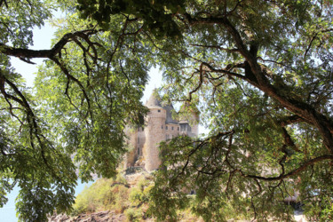 Photographie intitulée "12 Château de Val" par Michel Hervo, Œuvre d'art originale, Photographie numérique