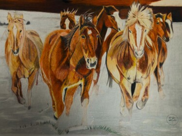 Drawing titled "Chevaux libres" by Pierre Bayet, Original Artwork, Pencil
