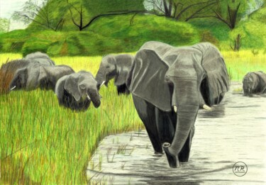 Dessin intitulée "Eléphants en balade" par Pierre Bayet, Œuvre d'art originale, Crayon