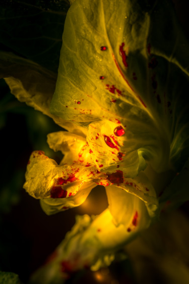 Fotografie getiteld "Le sang des fleurs…" door Pierre Duquoc, Origineel Kunstwerk, Digitale fotografie