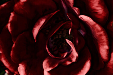 Photography titled "Coeur de rose" by Pierre-Marie Fenech, Original Artwork, Manipulated Photography