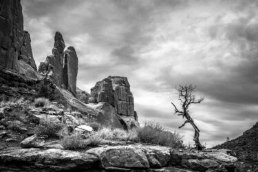 Фотография под названием "Alone" - Pierre Nadler, Подлинное произведение искусства, Цифровая фотография