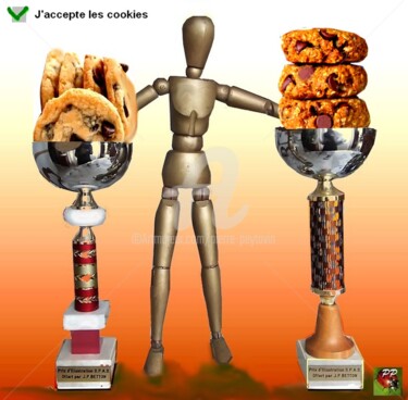 Arts numériques intitulée "Accepter les cookies" par Pierre Peytavin, Œuvre d'art originale, Travail numérique 2D
