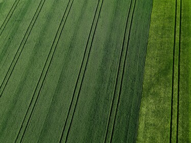 Fotografía titulada "Polder 1 - Agricult…" por Pierre Piton, Obra de arte original, Fotografía digital