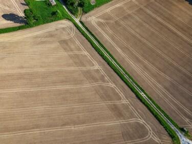 Fotografie mit dem Titel "Polder 6 - Agricult…" von Pierre Piton, Original-Kunstwerk, Digitale Fotografie