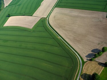 "Polder 7 - Agricult…" başlıklı Fotoğraf Pierre Piton tarafından, Orijinal sanat, Dijital Fotoğrafçılık